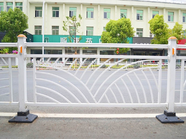 市政道路護(hù)欄 (29)
